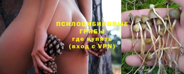 mdpv Михайловск