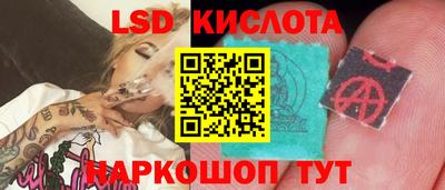 гидропоника Гагарин