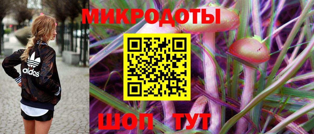 Галлюциногенные грибы Psilocybe Чита